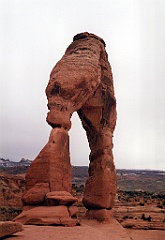 184 Arches - Delicate Arch